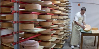 Kurs der Käseherstellung